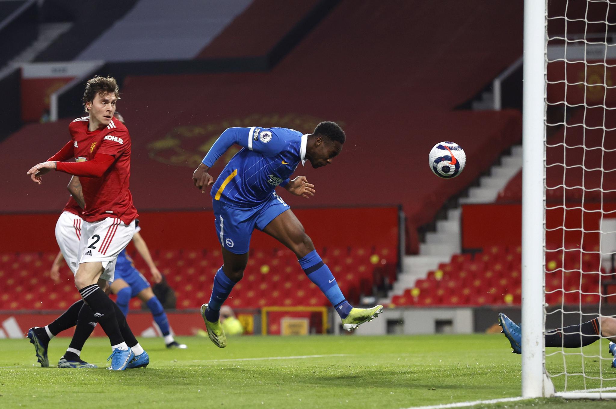 他们不仅是 他们不仅是